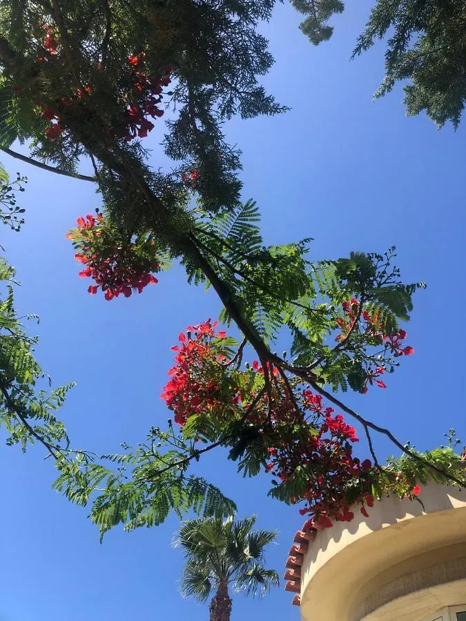 Villa Holiday World Maspalomas